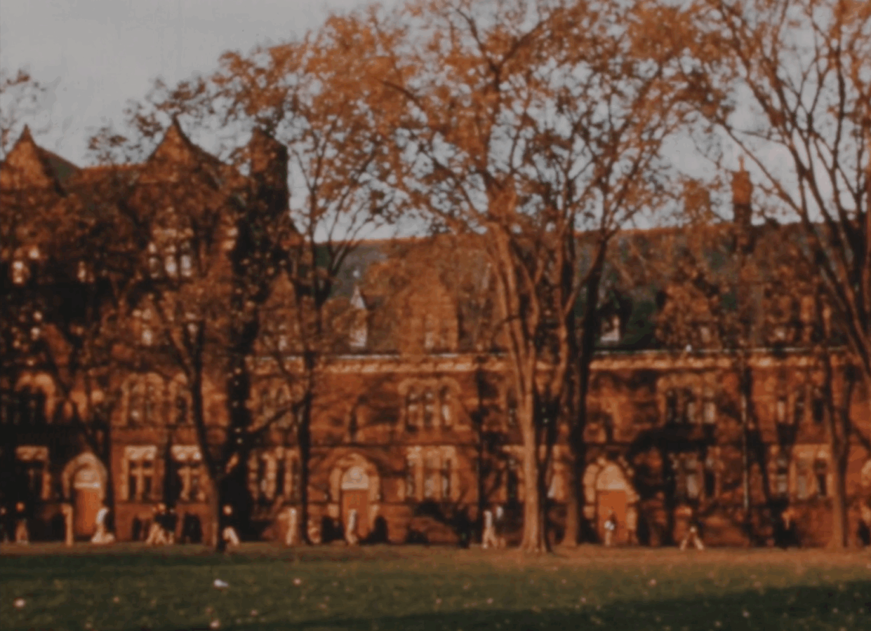 Autumn scene showing Trinity College’s brick buildings framed by tall trees with orange leaves and a green lawn in the foreground.